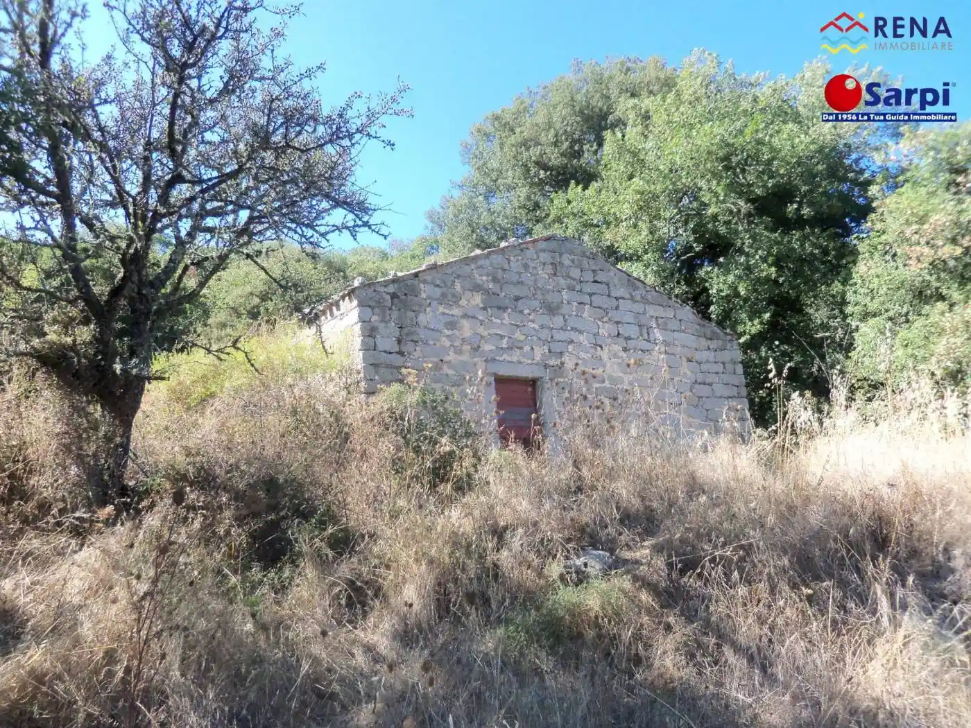 Rustico - Casale in vendita a Tempio Pausania