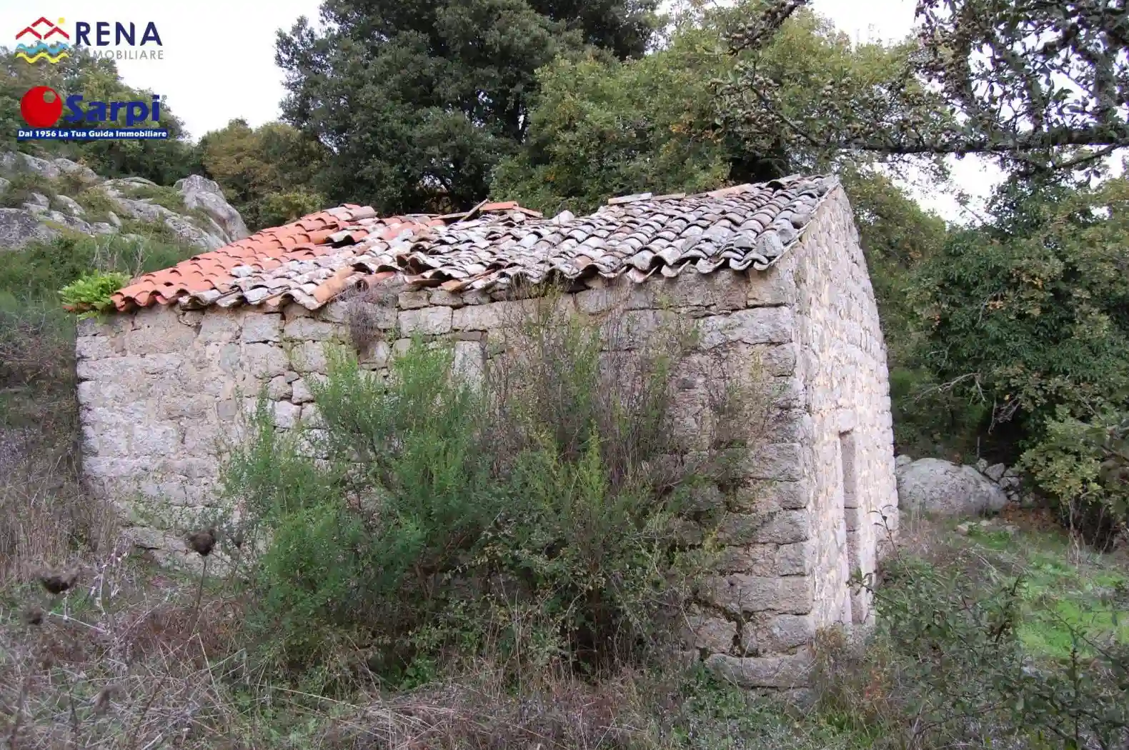 Rustico - Casale - foto 5