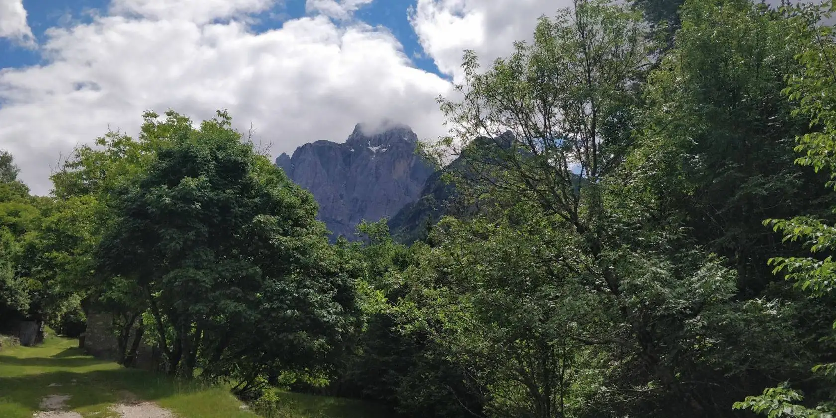 Baita Località Plezziche, Dogna - foto 2