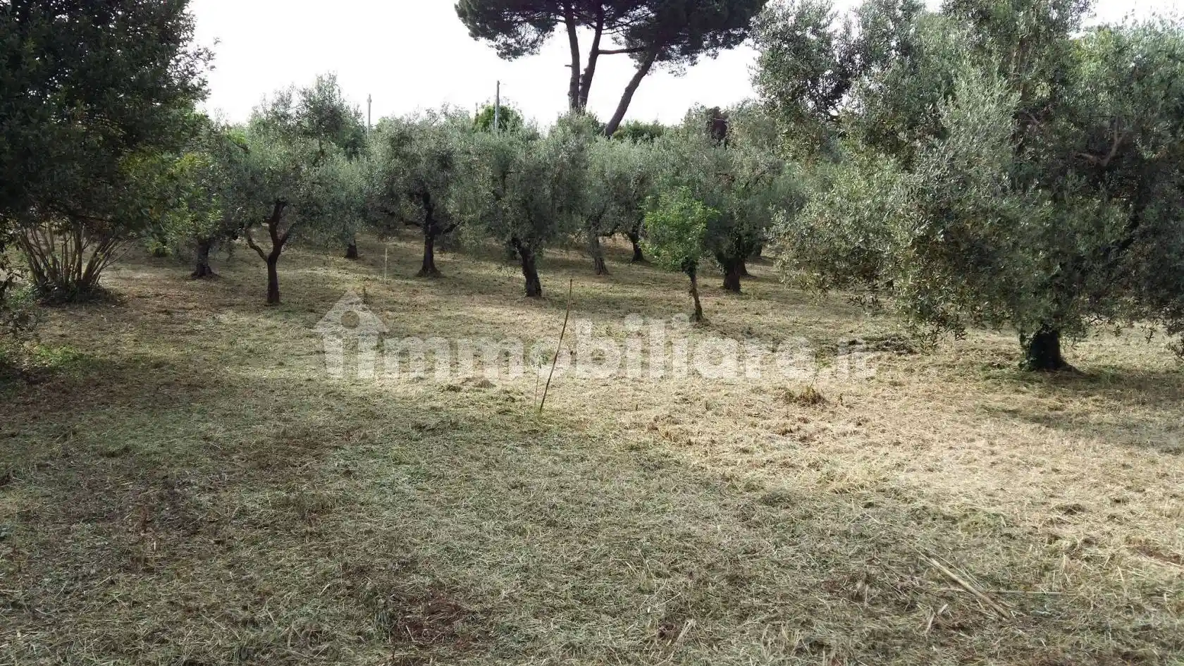Villa in vendita a Velletri