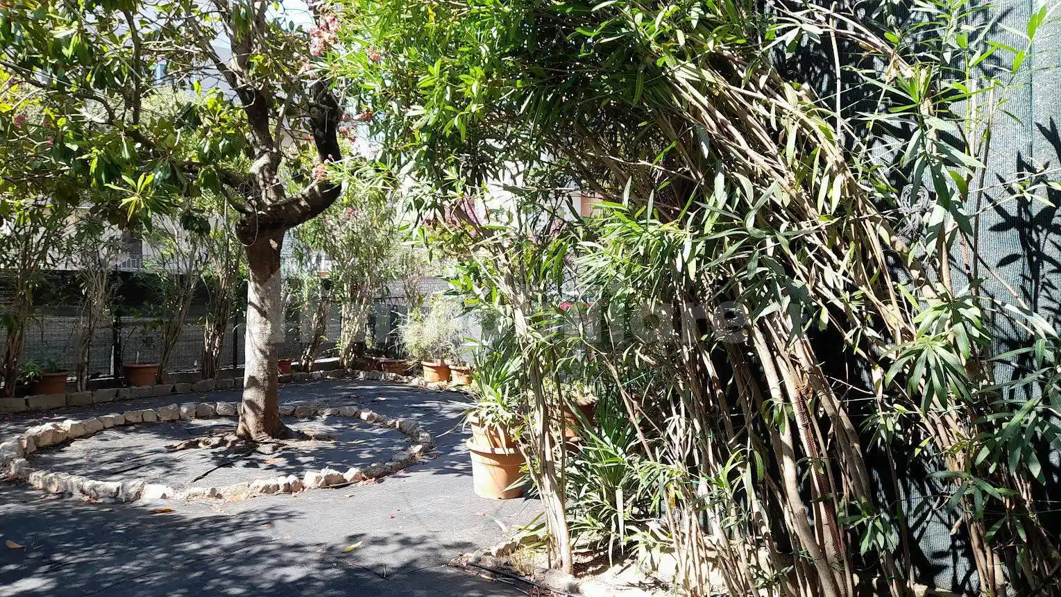 Appartamento in vendita a Amelia