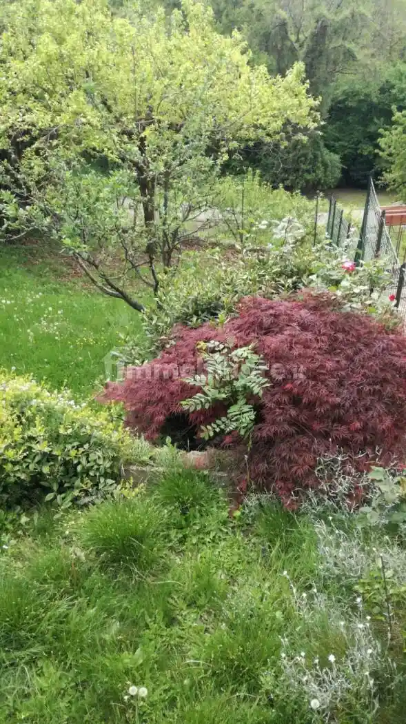 Terratetto unifamiliare Cantone Colmo, Curino - foto 2