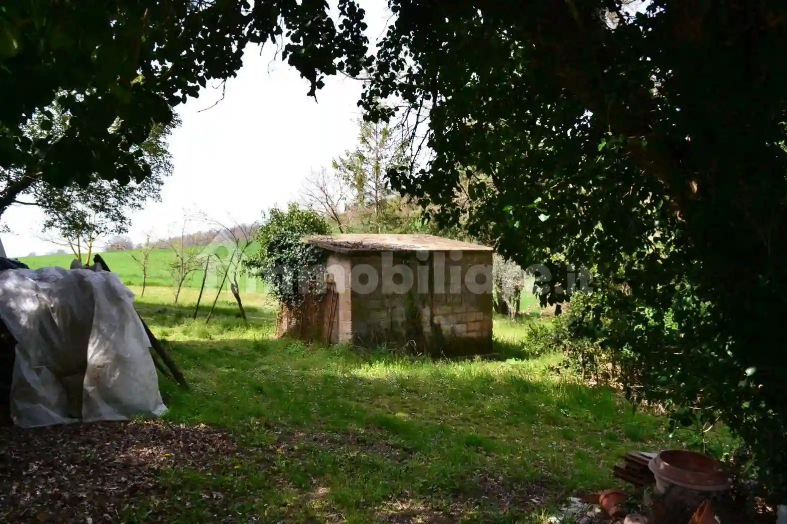 Rustico - Casale - foto 5