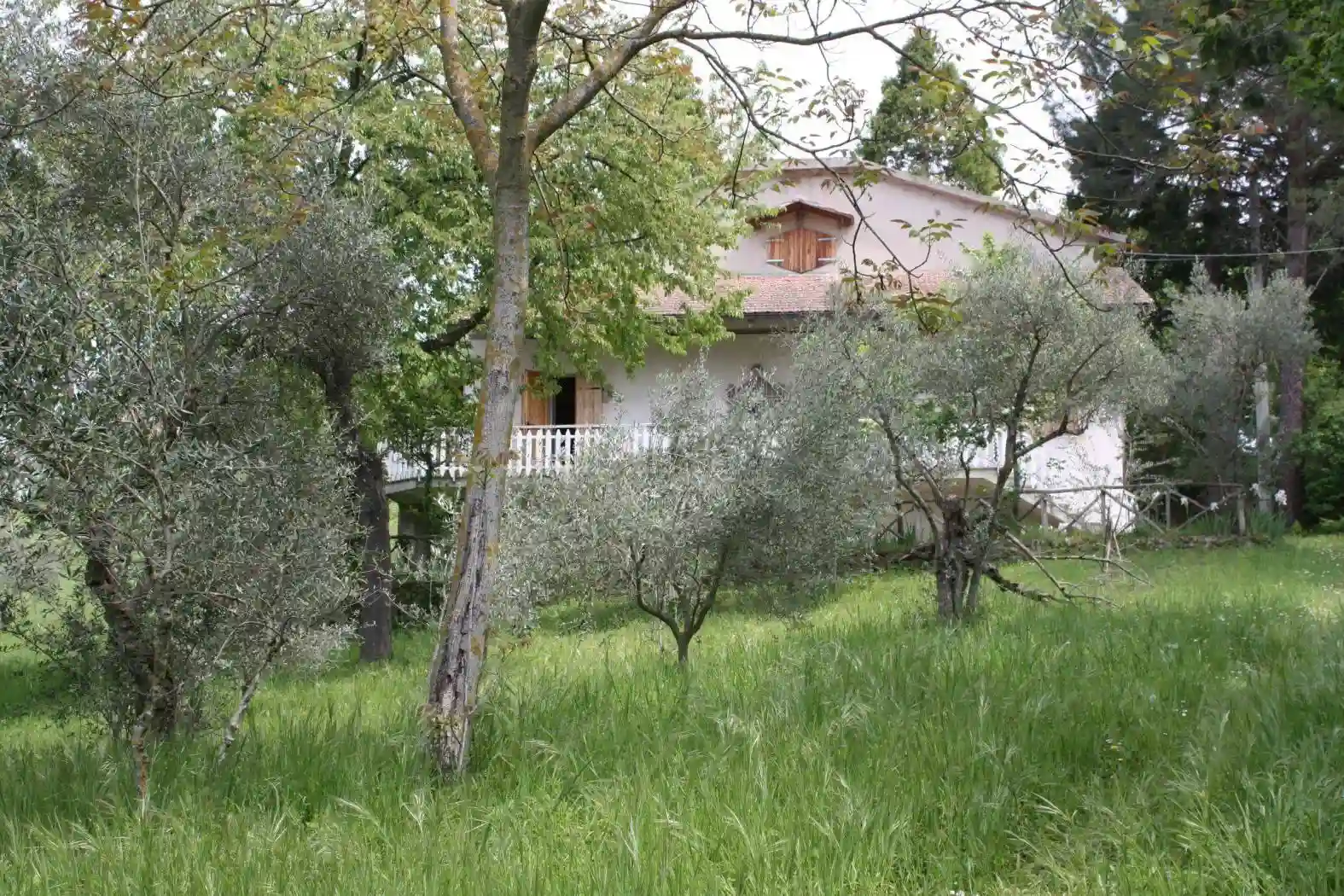 Rustico - Casale - foto 4