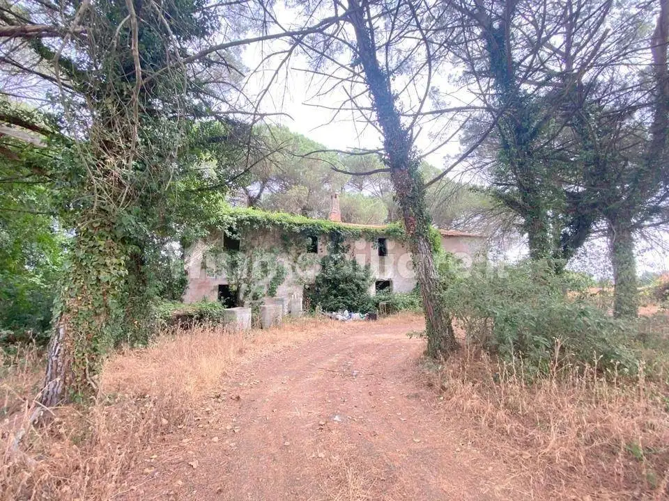 Rustico - Casale in vendita a Castiglione del Lago