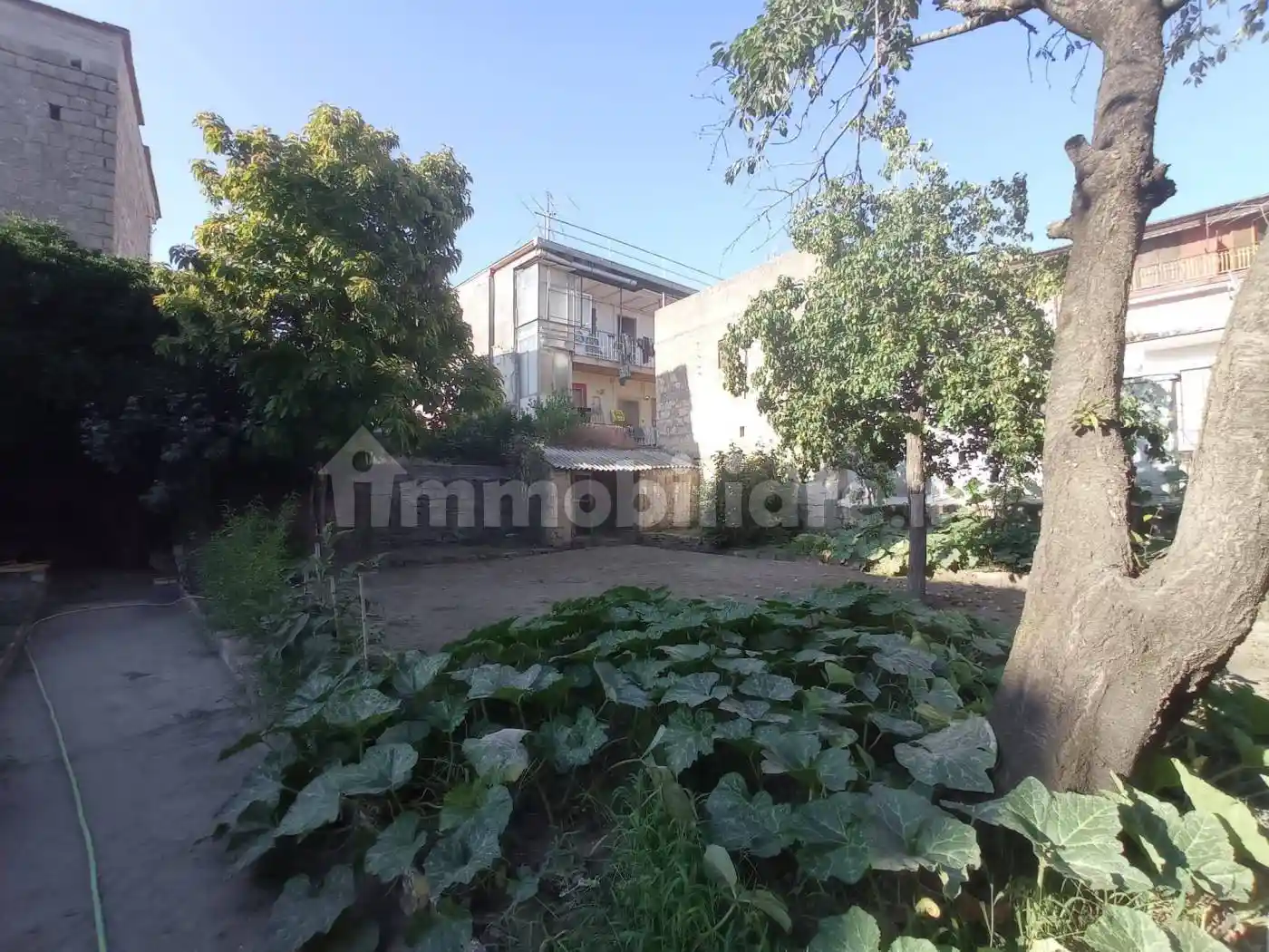 Palazzo - Edificio - foto 4