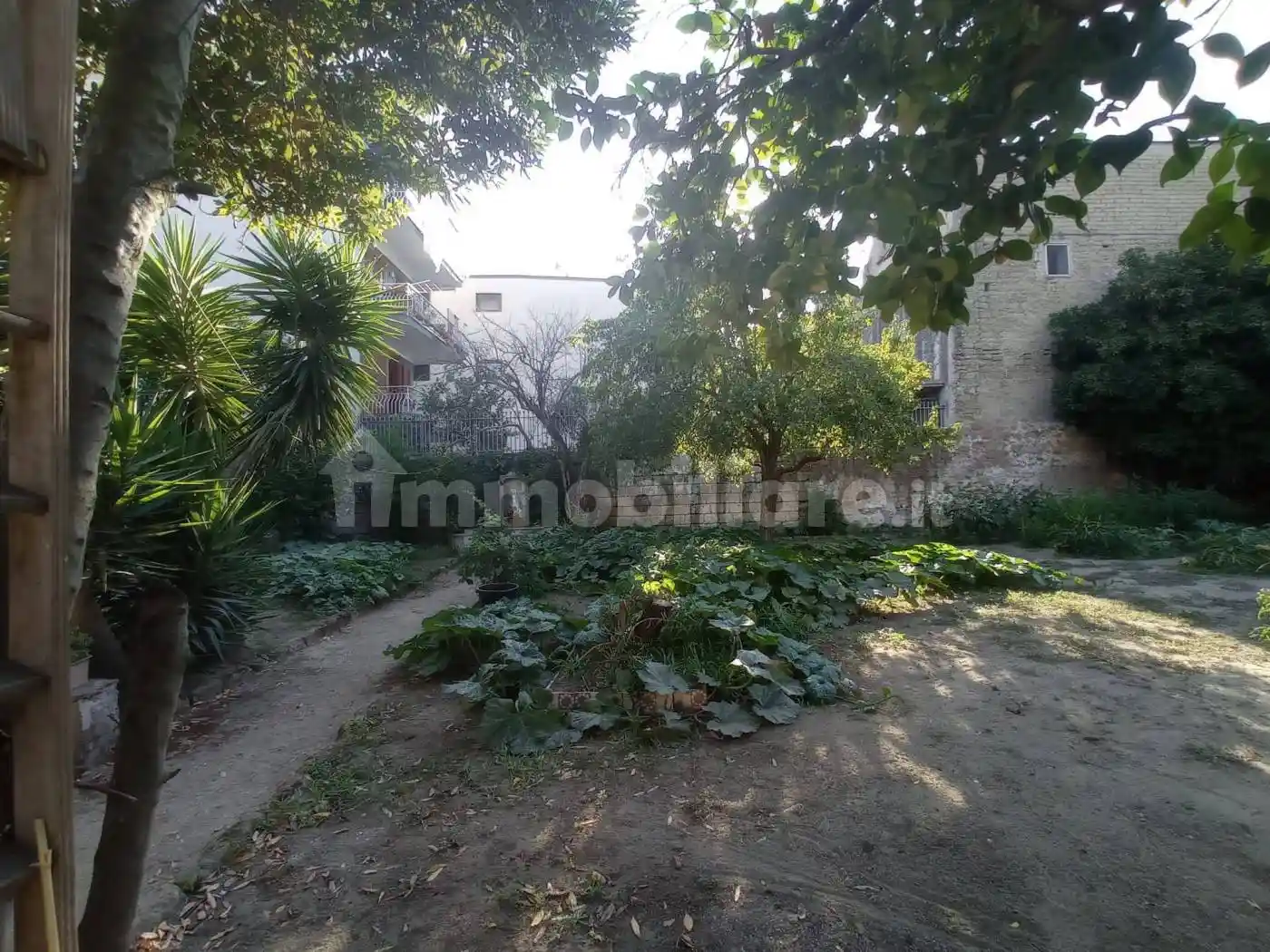 Palazzo - Edificio - foto 5