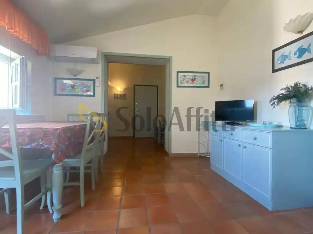 Appartamento in affitto a Pisa