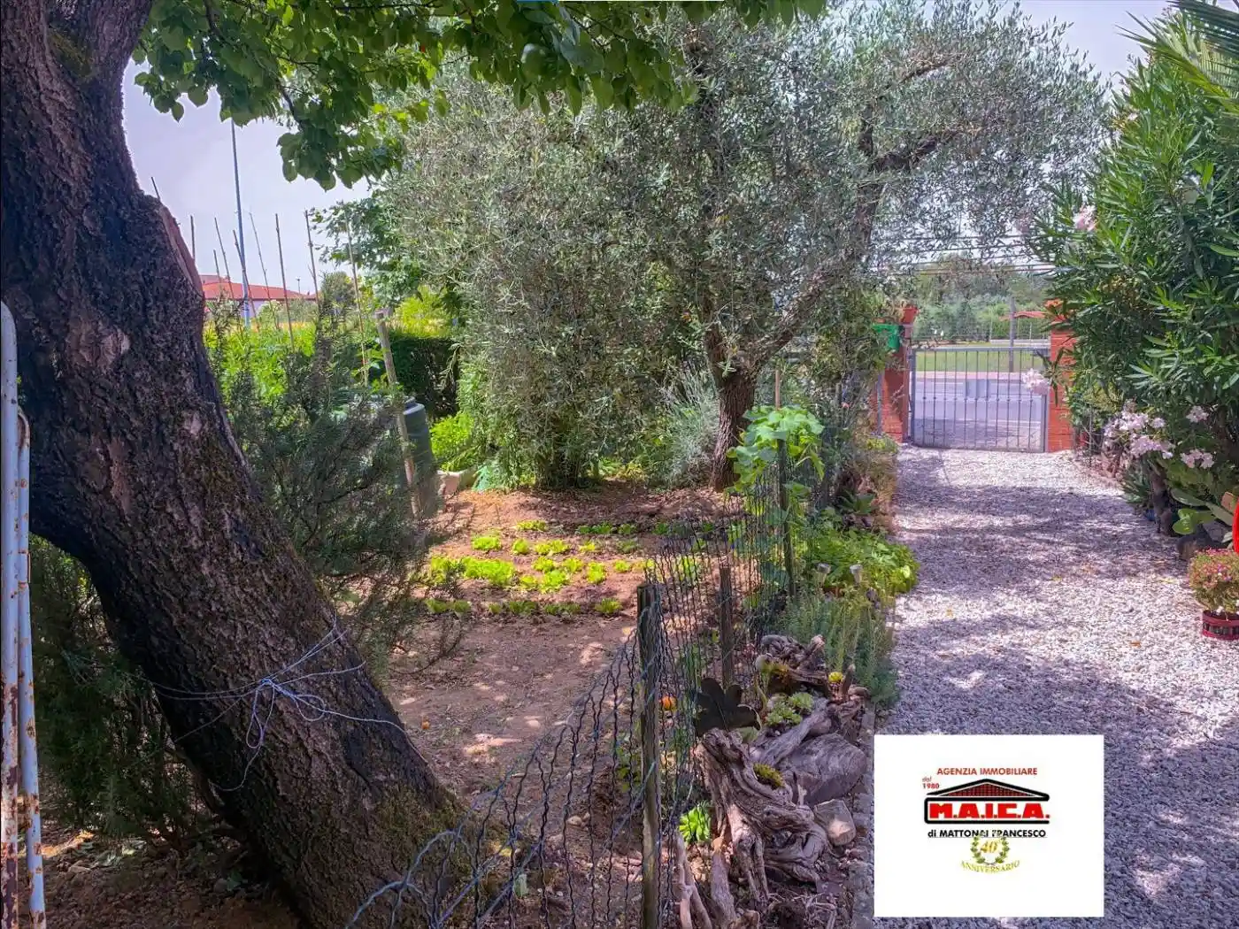 Terratetto plurifamiliare via Jurij Gagarin, Il Romito, Pontedera - foto 2