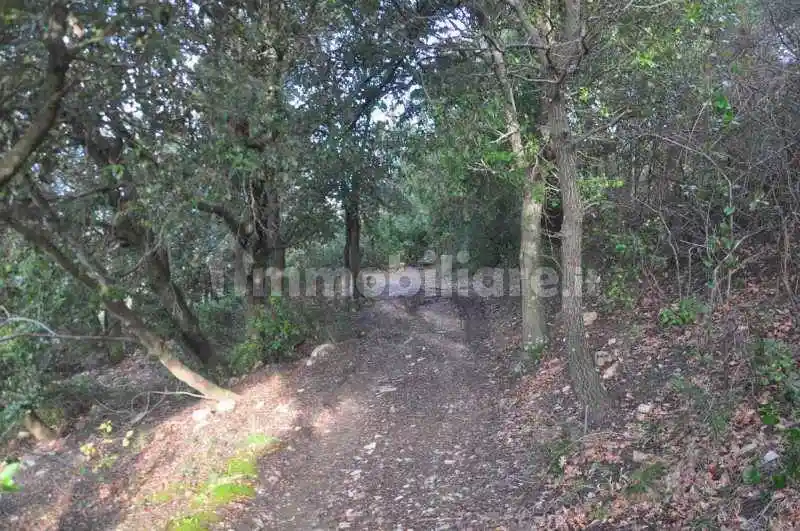 Rustico - Casale in vendita a Albinea