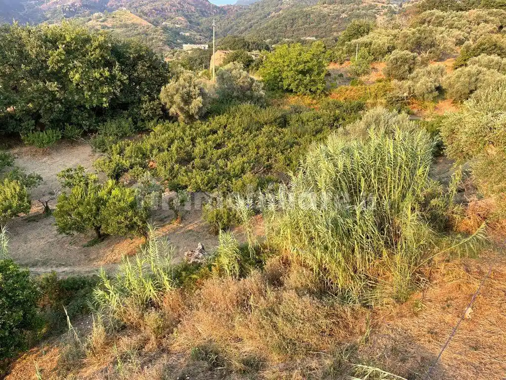 Appartamento Malafarina, Belvedere Marittimo - foto 3