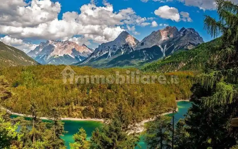 Palazzo - Edificio in vendita a Bognanco