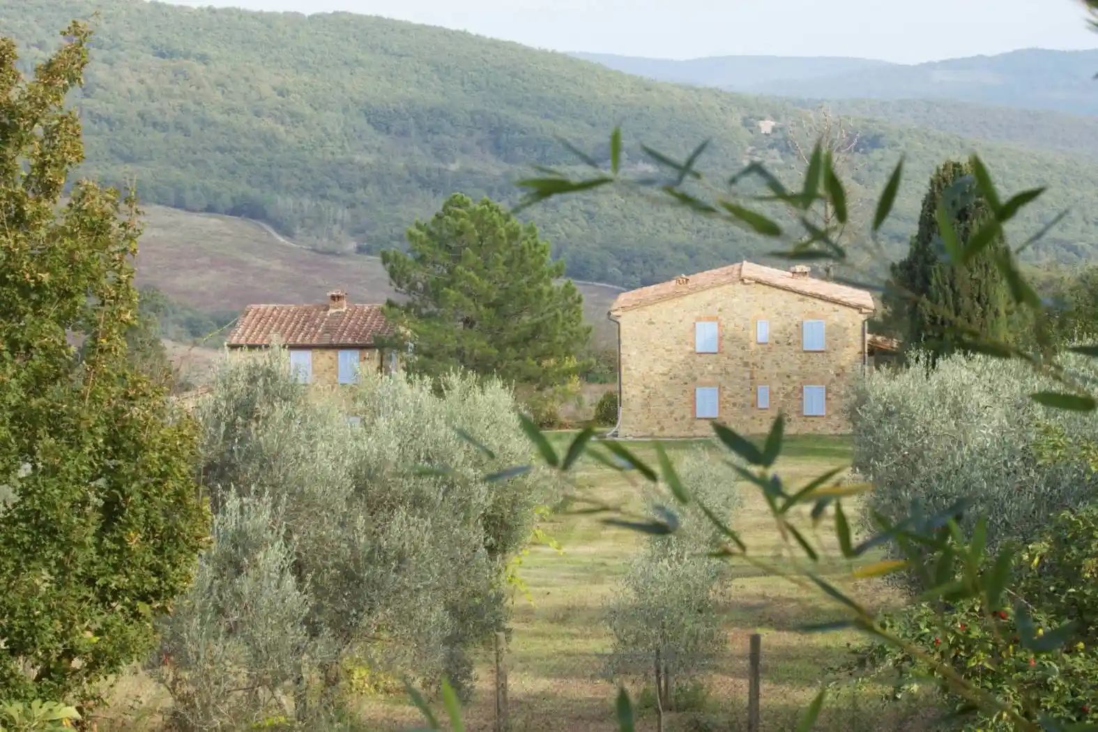 Rustico - Casale in vendita a Radicondoli