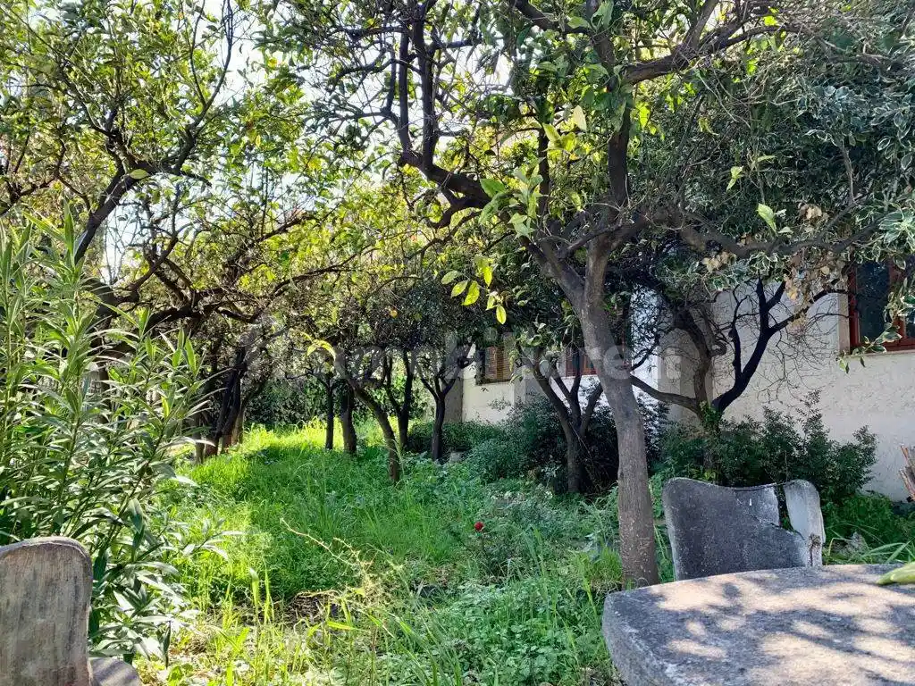 Villa unifamiliare via Santa Lucia 67, Corso Mazzini, Via Ciccarone, Casarza, Vasto - foto 3