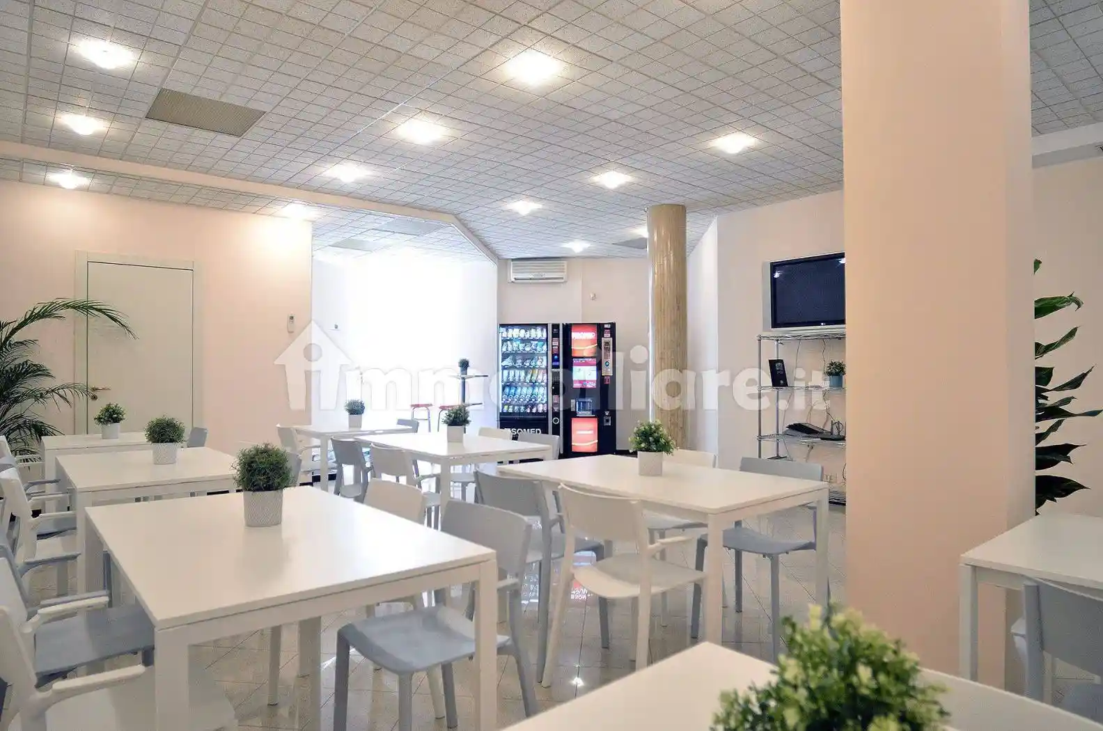 Palazzo - Edificio in Affitto - foto 5