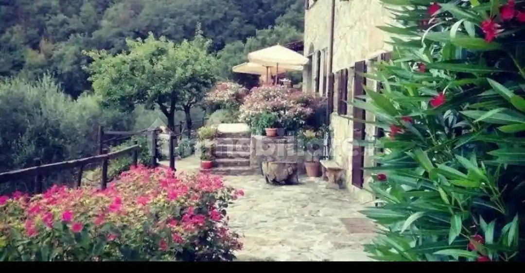 Rustico - Casale in vendita a Ne