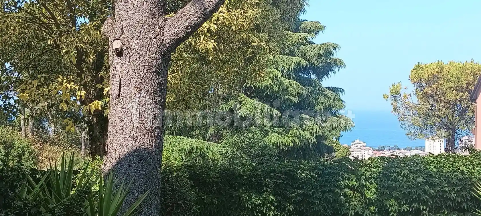 Villa unifamiliare via Aspromonte 1, Montesilvano Colle, Montesilvano - foto 5