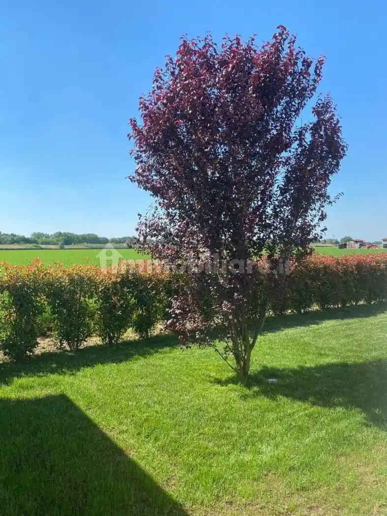 Villa in vendita a Castel Maggiore