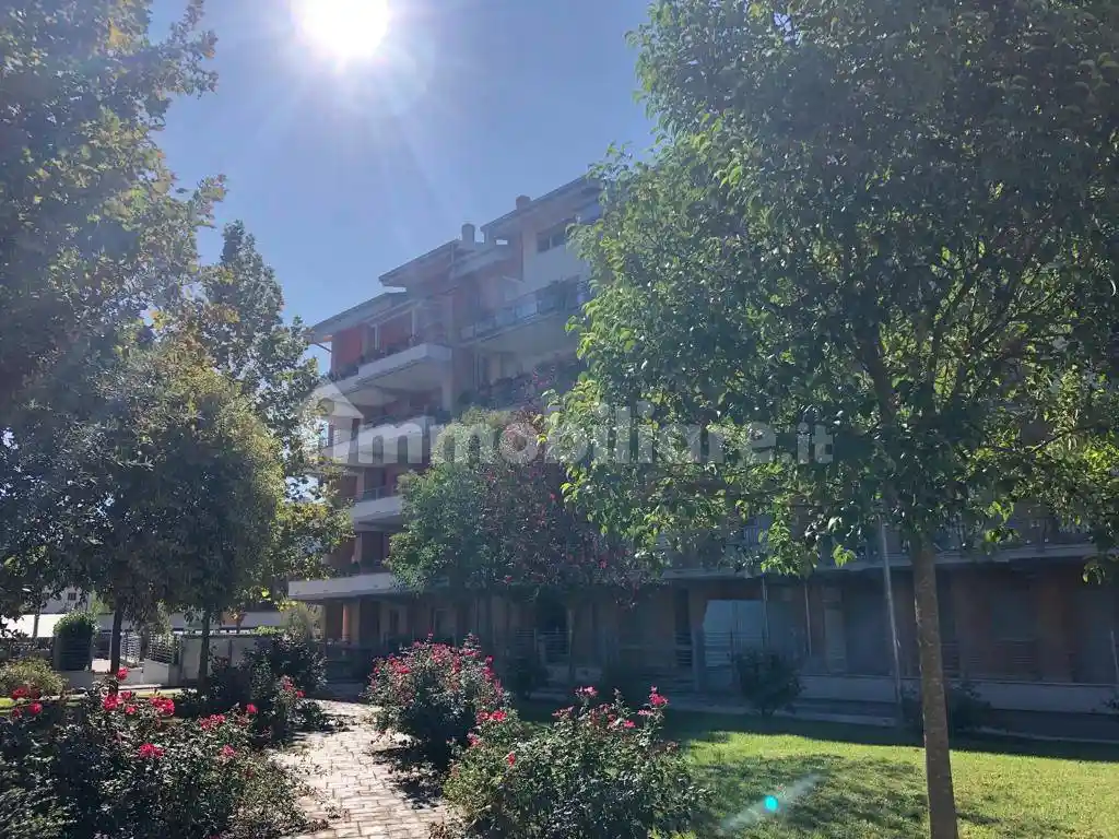 Appartamento in affitto a Cassino
