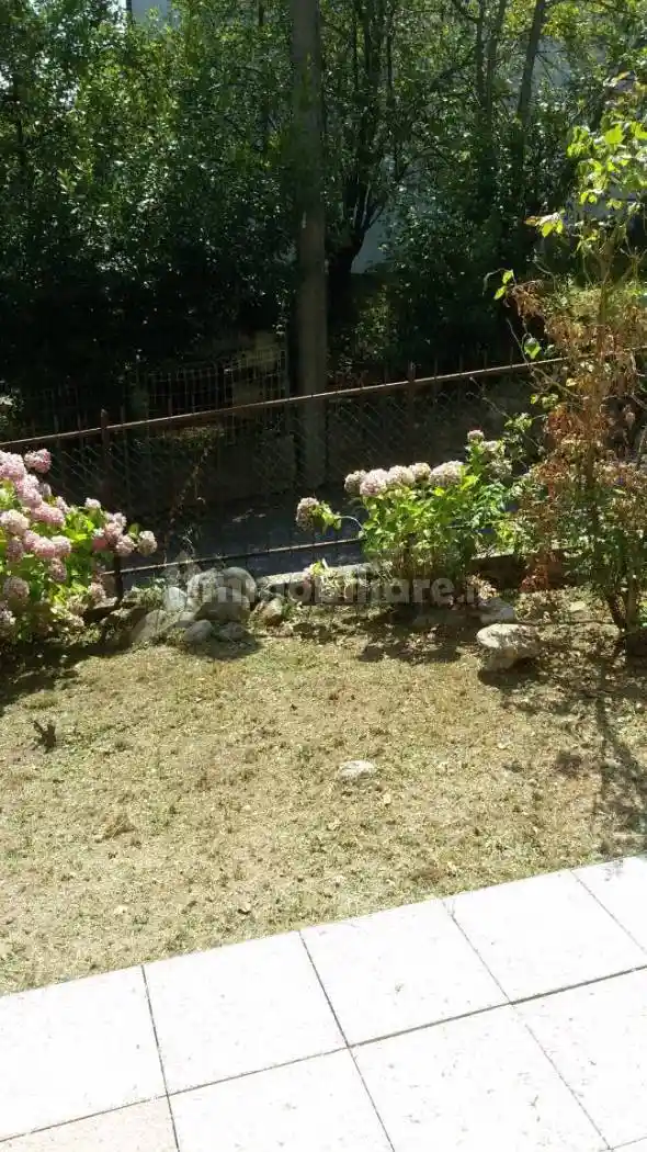 Appartamento in vendita a Viola