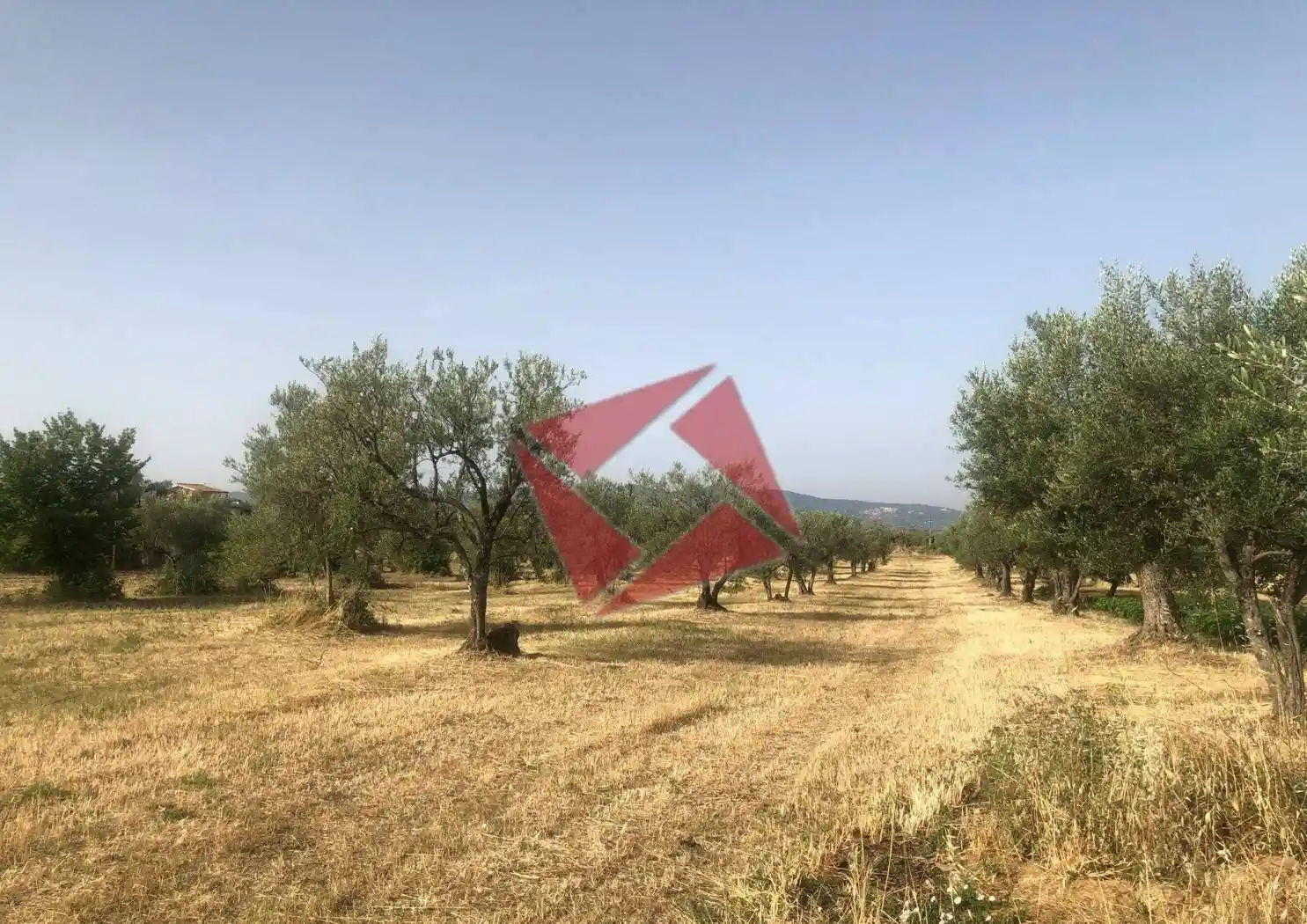 Rustico - Casale in vendita a Gallicano nel Lazio