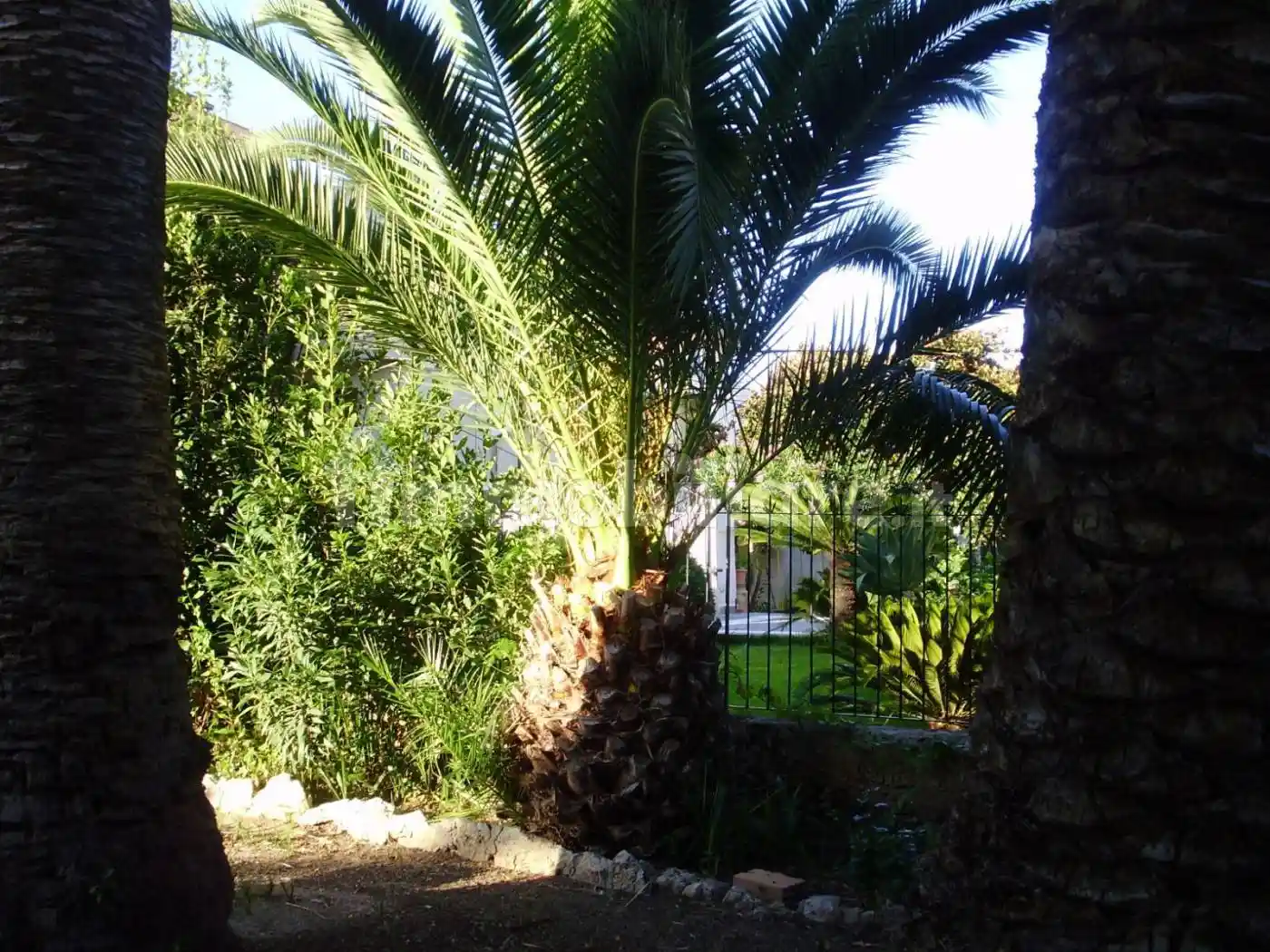 Quadrilocale via Roma 120, Santa Domenica, Ricadi - foto 3