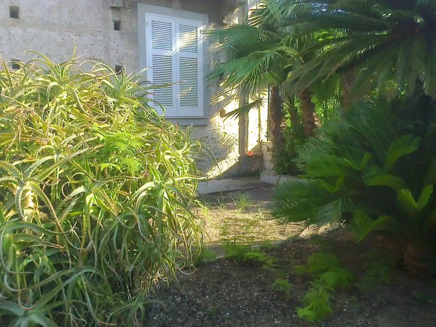 Quadrilocale via Roma 120, Santa Domenica, Ricadi - foto 4