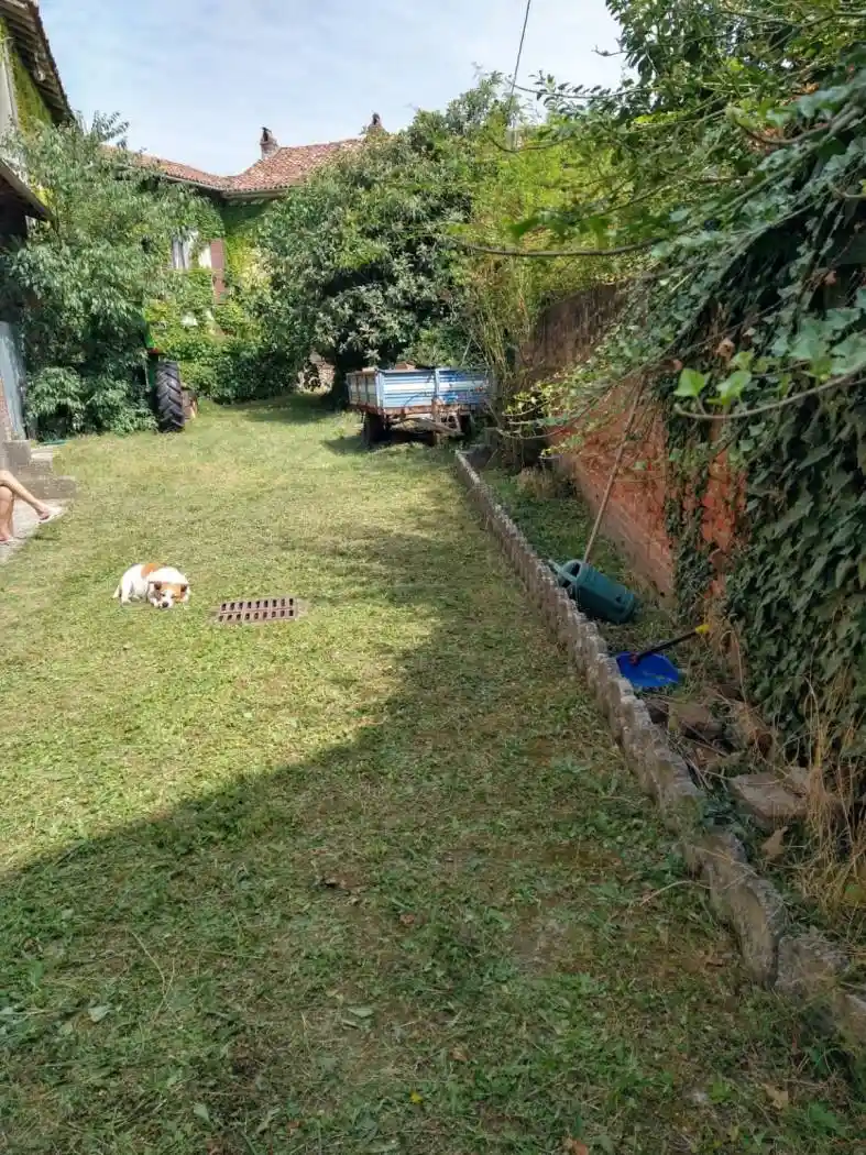 Rustico via Roma 9, Cuccaro Monferrato, Lu e Cuccaro Monferrato - foto 5