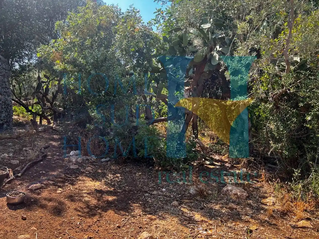 Baglio Strada Provinciale Cugni, Maeggio, Siracusa - foto 4