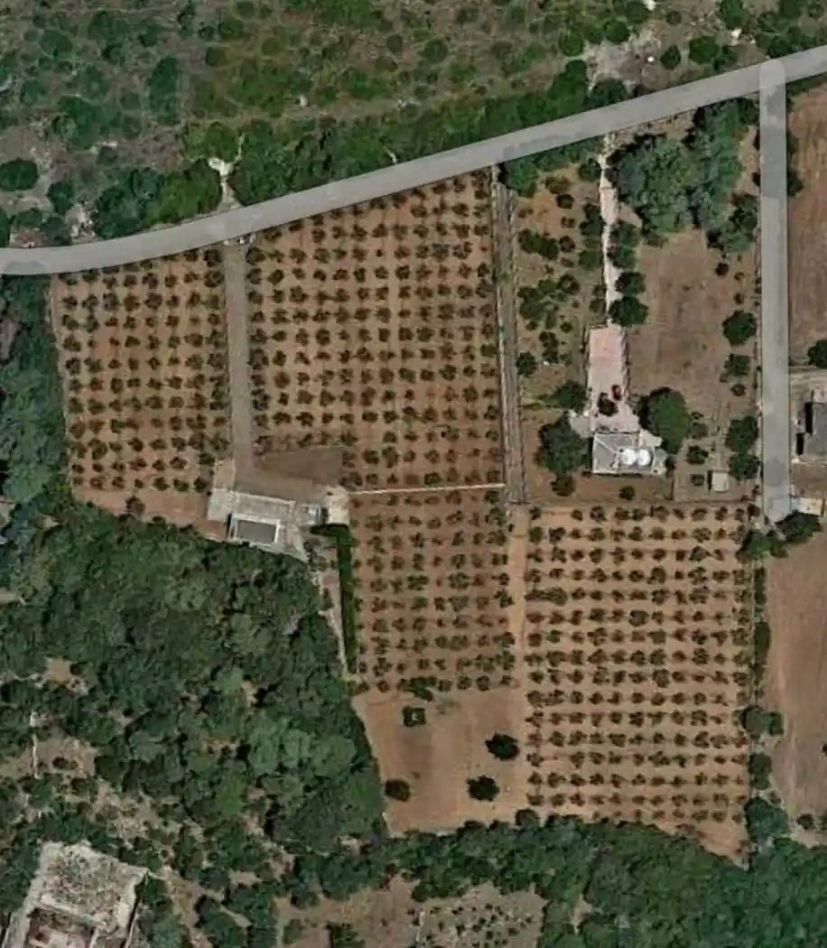 Rustico - Casale in vendita a Martina Franca