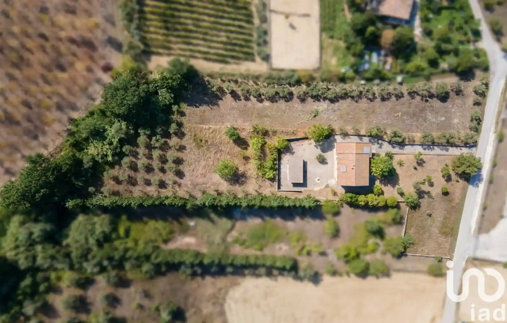 Villa unifamiliare via po, Collecorvino - foto 4