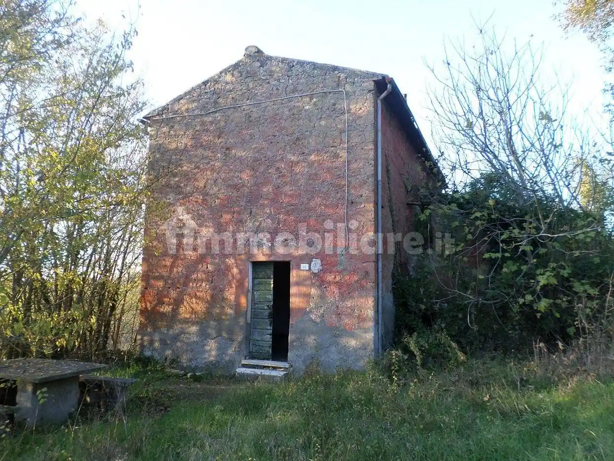 Rustico - Casale in vendita a Attigliano