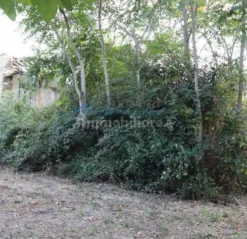 Rustico - Casale in vendita a Ancarano