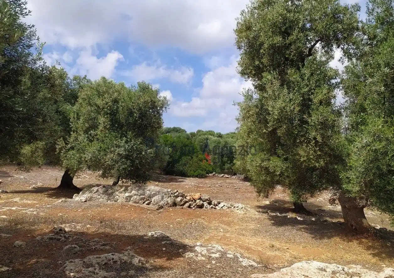 Villa in vendita a Carovigno