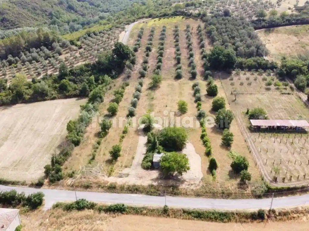 Rustico - Casale in vendita a Attigliano