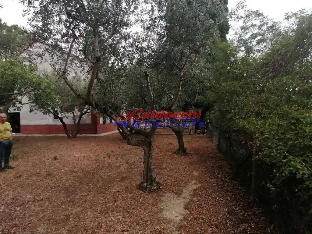 Casa indipendente in vendita a Mombaroccio