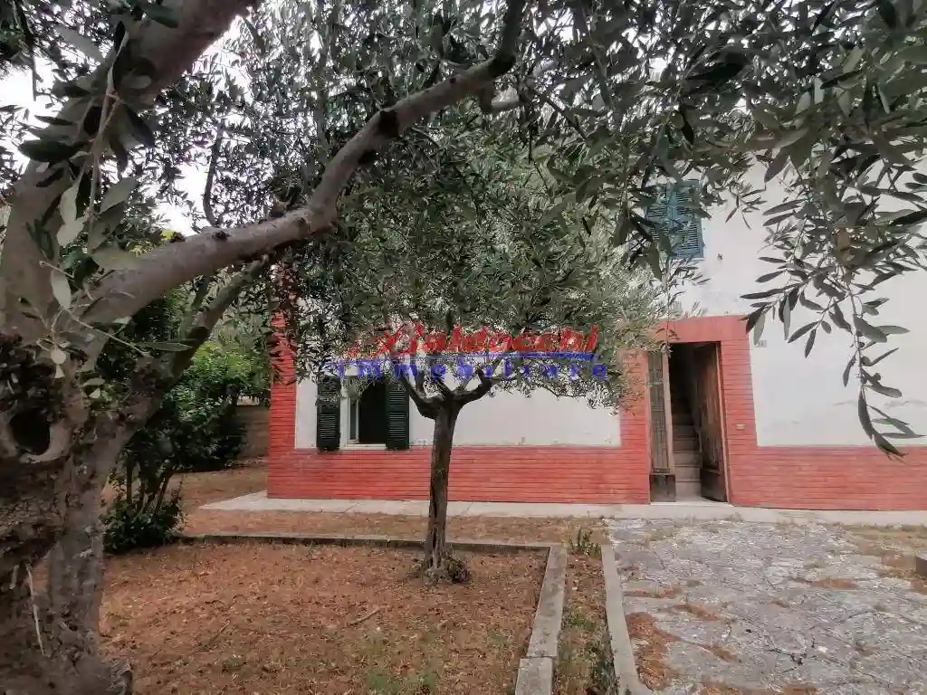 Casa indipendente - foto 4