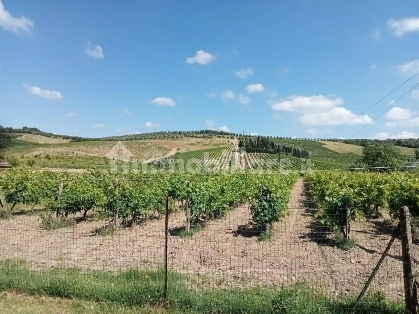 Casa indipendente in vendita a Vinci