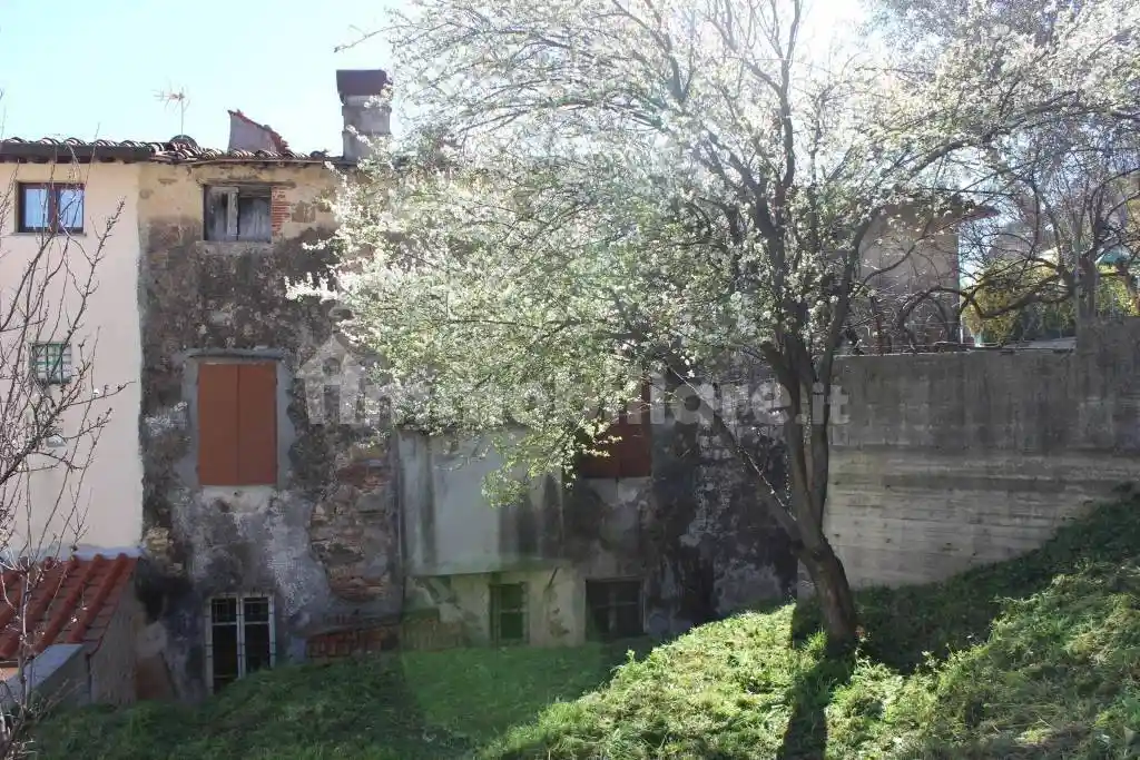 Rustico - Casale in vendita a Massarosa