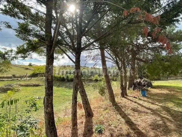 Terratetto unifamiliare via paludi, 82, Catignano - foto 3