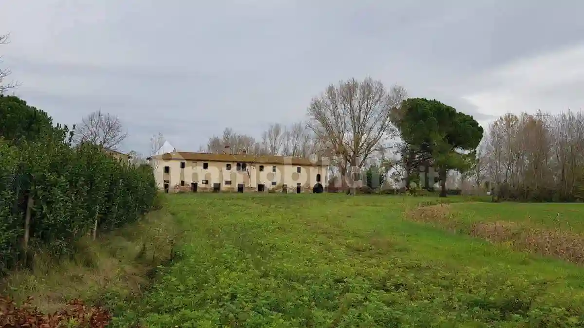 Palazzo - Edificio - foto 2