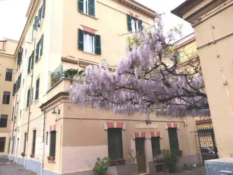 Appartamento in affitto a Roma