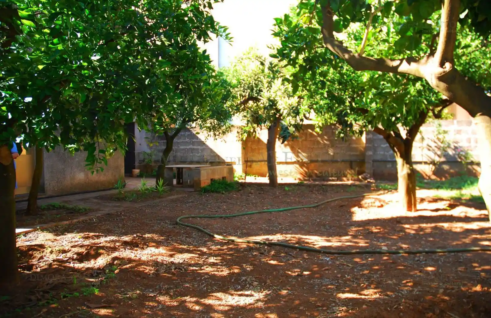 Rustico - Casale in vendita a Alessano