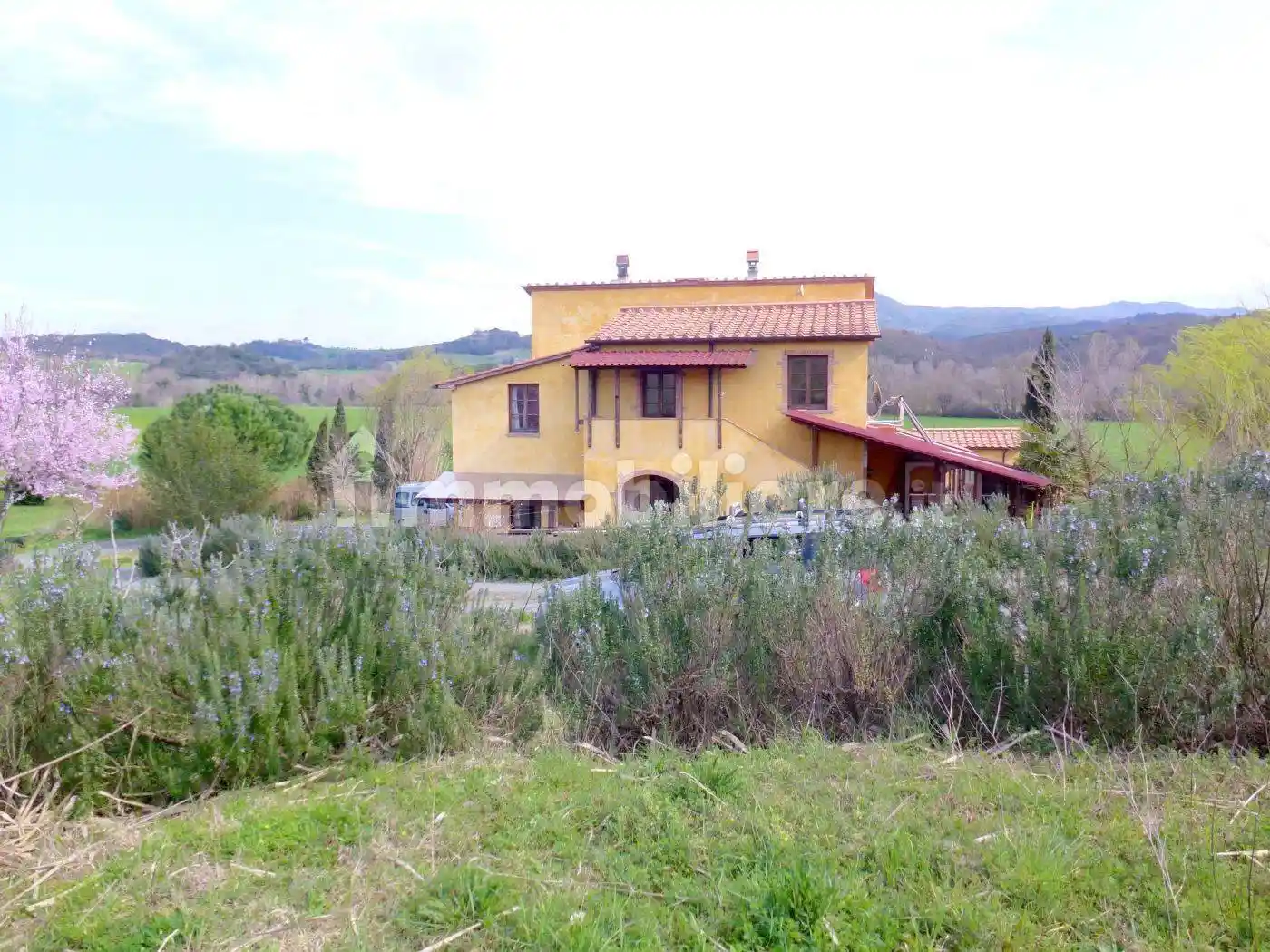 Rustico - Casale in vendita a Guardistallo