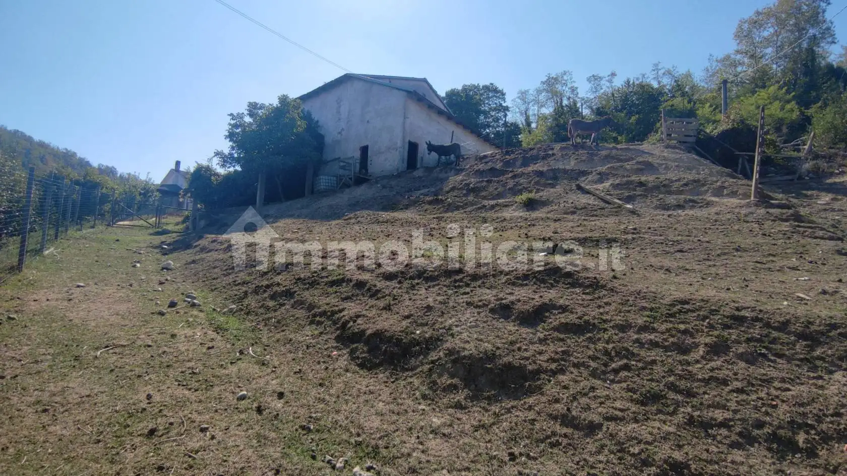 Cascina via Roma, Centro, Carpeneto - foto 4