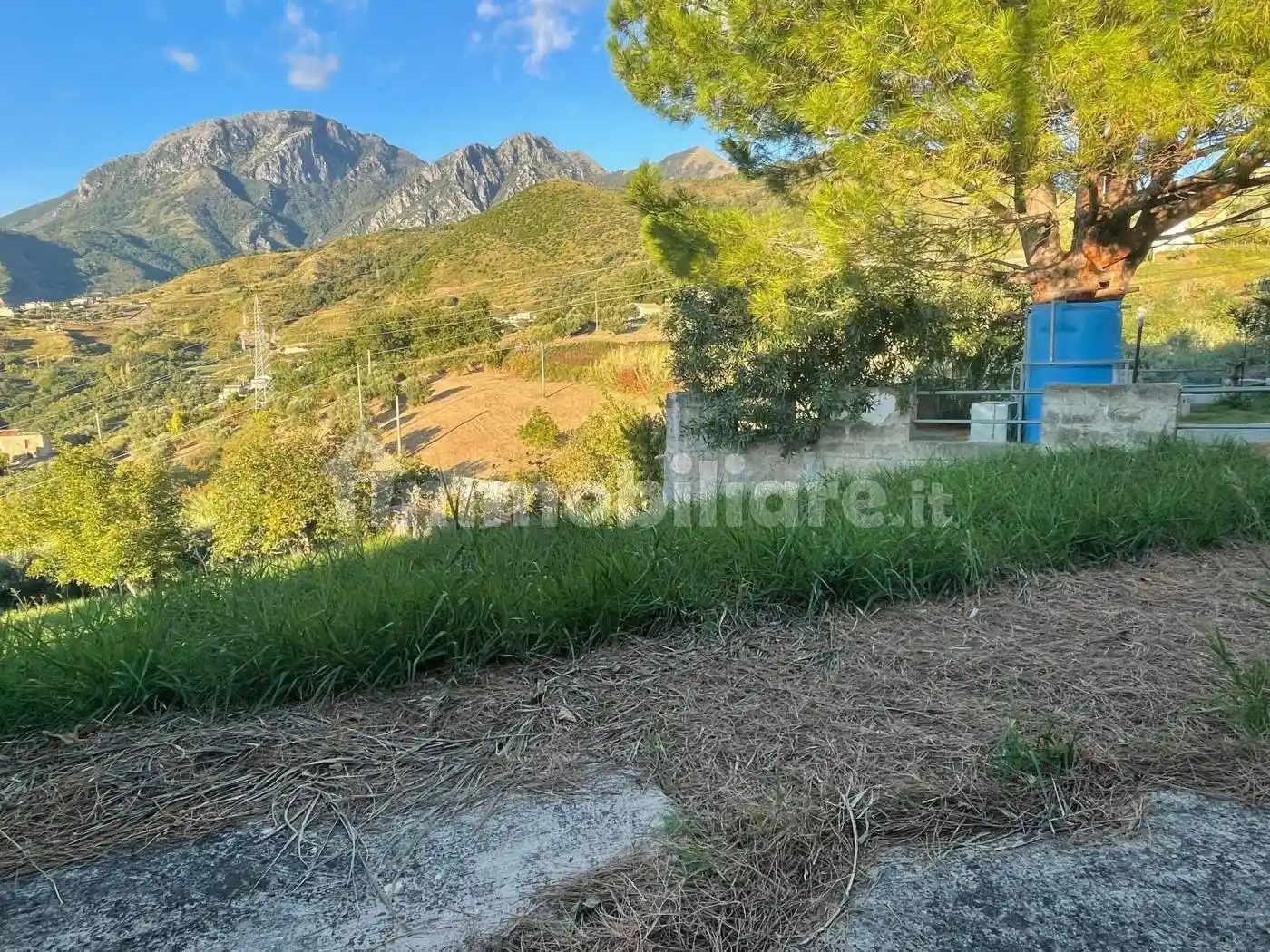 Trilocale Contrada Olivella, Campominore Alto, Belvedere Marittimo - foto 2