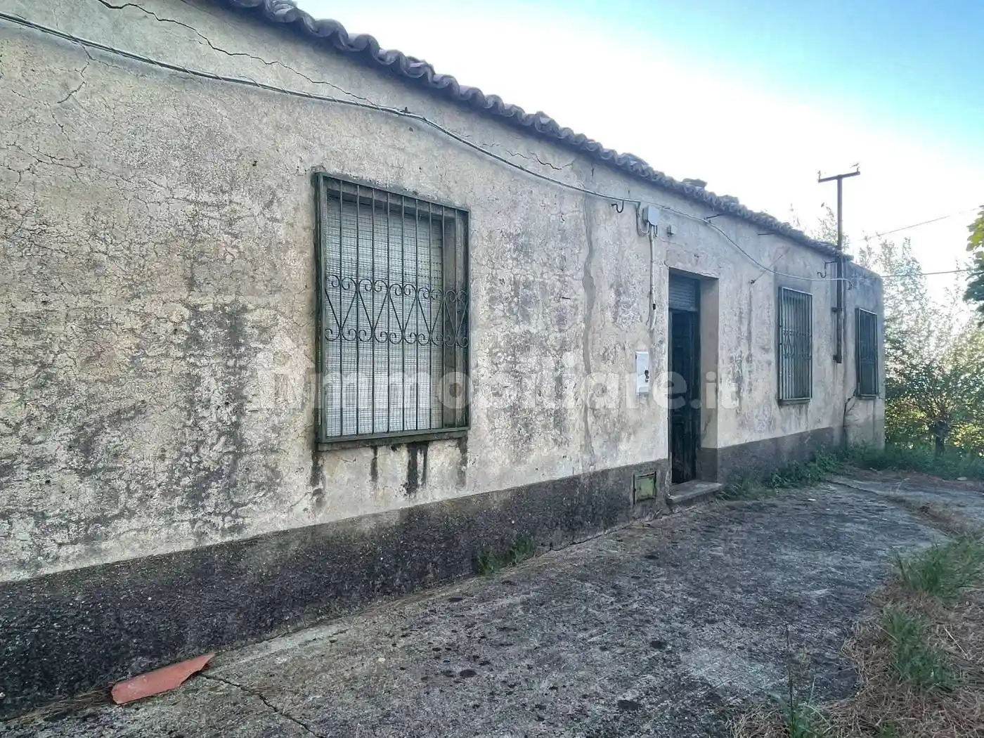 Trilocale Contrada Olivella, Campominore Alto, Belvedere Marittimo - foto 3