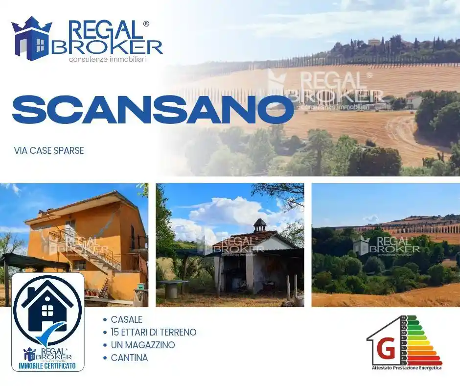 Rustico - Casale in vendita a Scansano