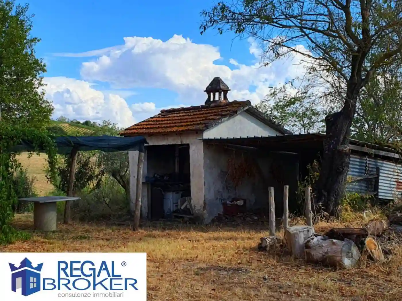 Rustico - Casale - foto 5