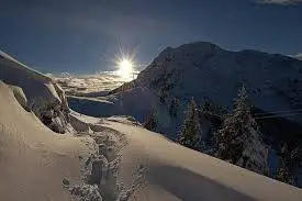 Albergo in Vendita - foto 4